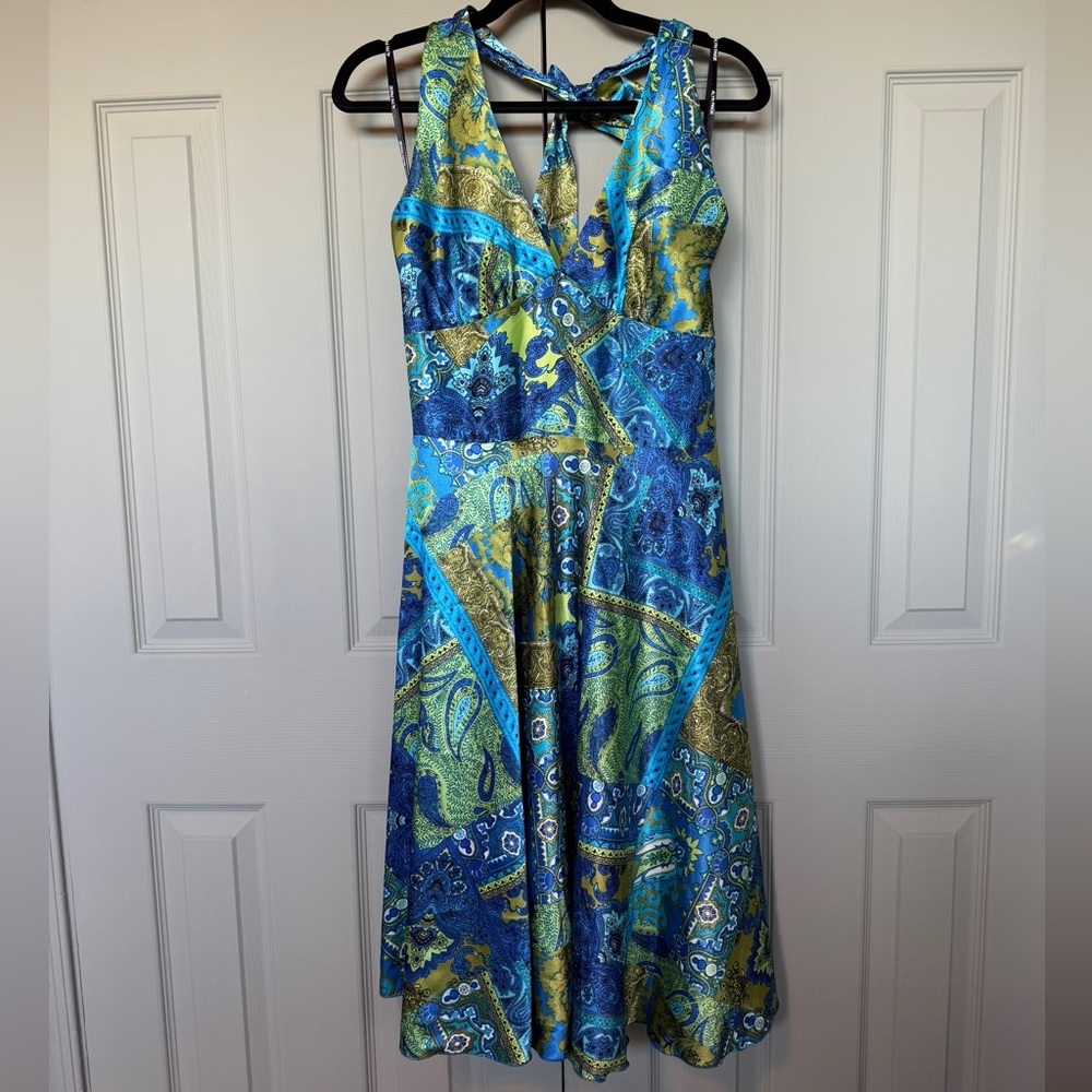 Alyn Paige Paisley Dress